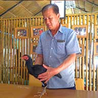 โชคสันติฟาร์ม